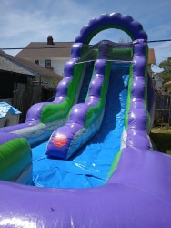 15' Purple Rain 1000000110 1769661281 15' Purple Rain